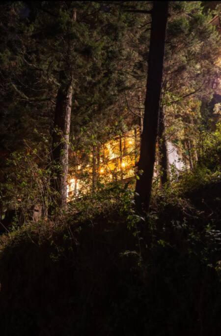 The Hill Story, Entire Chalet, Offbeat,Cozy Mussoorie Dış mekan fotoğraf
