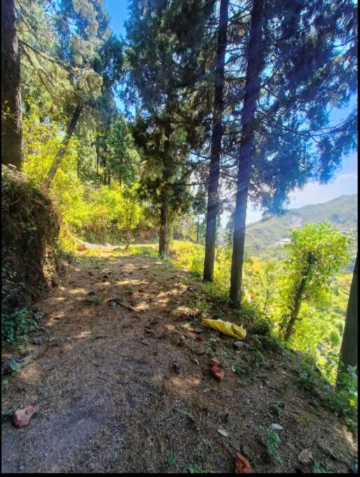 The Hill Story, Entire Chalet, Offbeat,Cozy Mussoorie Dış mekan fotoğraf