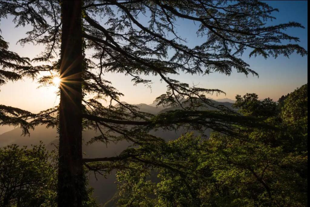 The Hill Story, Entire Chalet, Offbeat,Cozy Mussoorie Dış mekan fotoğraf